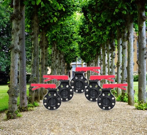 PVC Butterfly Valve 2 inch